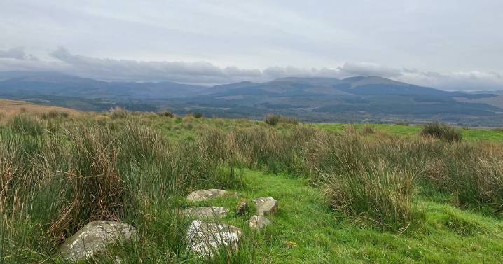 Dumfries and Galloway Council set to trigger public inquiry over controversial windfarm plans