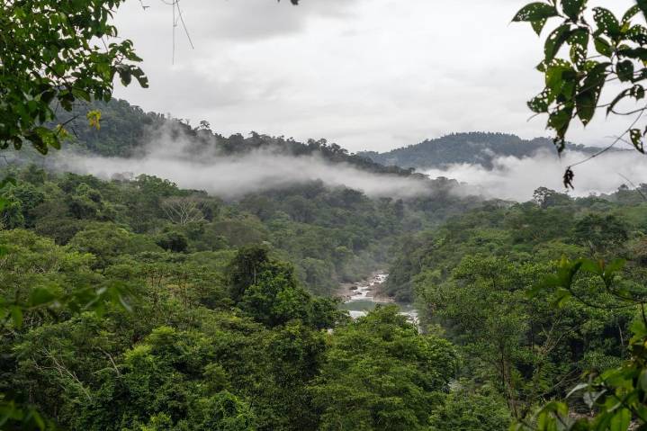 Perú se une a una nueva red regional para impulsar el mercado de carbono