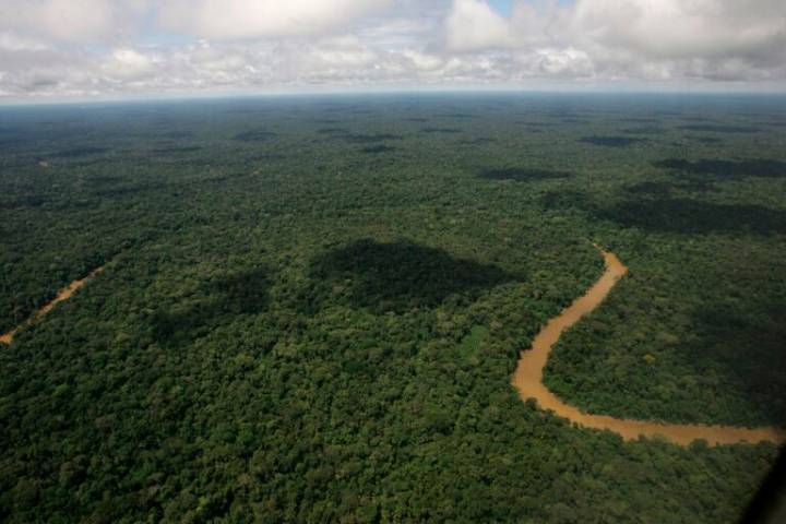 In Ecuador, environmentalists worry Noboa is unwinding nation’s green reputation