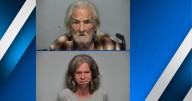 Dog left in car dies; two arrested