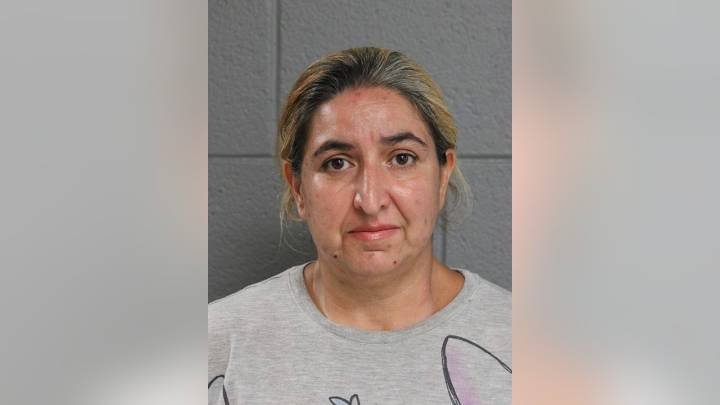 Woman charged with animal cruelty after 26 dogs found  in Chicago home, police say