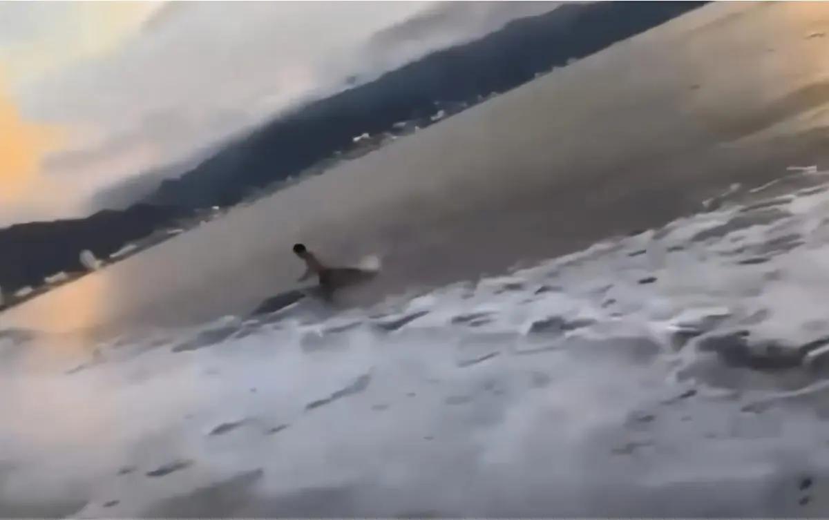 Cocodrilo sale del mar e intenta atacar a joven en Playa Bocanegra en Puerto Vallarta (VIDEO)