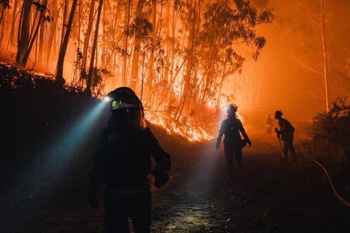 Última hora de los incendios en España, en directo | Sánchez anuncia que la próxima Conferencia de Presidentes estará dedicada al pacto de Estado contra el cambio climático