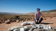 Descubren en Marruecos dinosaurio con extraña armadura de púas jamás vista en la historia