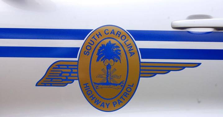 Driver dead after allegedly fleeing police on Clements Ferry