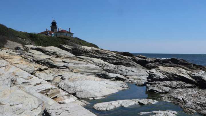Bat with rabies found at Beavertail State Park in Jamestown