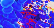Scientists Create Ultimate Antiviral Using Rare "Superpower" Genetic Mutation