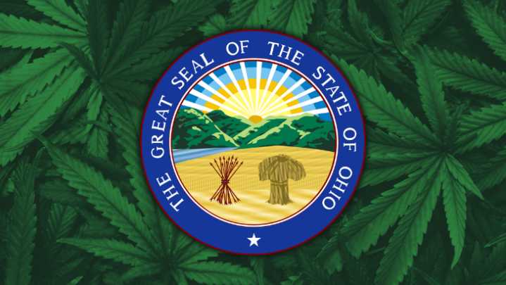 First Full Year Cannabis Sales In Ohio Top $702 Million