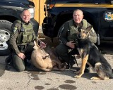 Oswego County man faces multiple felonies for poaching more than 30 deer