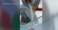 Terrifying video shows broken water slide on Royal Caribbean's Icon of the Seas