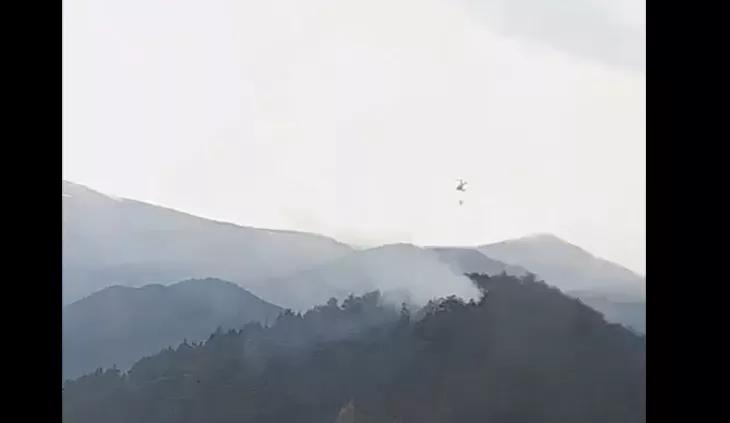 Controlado el incendio forestal en la Guarguera causado por un rayo