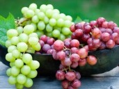 Uva antioxidante: Las vigorizantes propiedades curativas para la salud cardiovascular y una juventud duradera