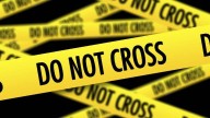 Cats injured in house fire in Orlando Sunday, OCFRD says