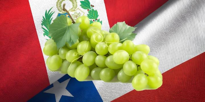 Perú superaría a Chile en agroexportaciones este 2025 con ganancias de USD 10.194 millones