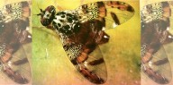 How to tell if your produce has been infected with Mediterranean fruit fly