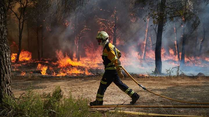 Medidas que debería incluir un pacto de Estado para hacer frente a los incendios forestales