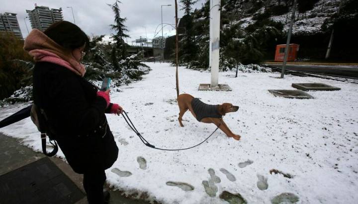 "Hace 8 años que no pasa": lo que viene en Santiago con la nieve