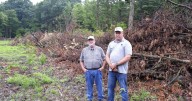 Slash Walls an Alternative to Deer Fencing