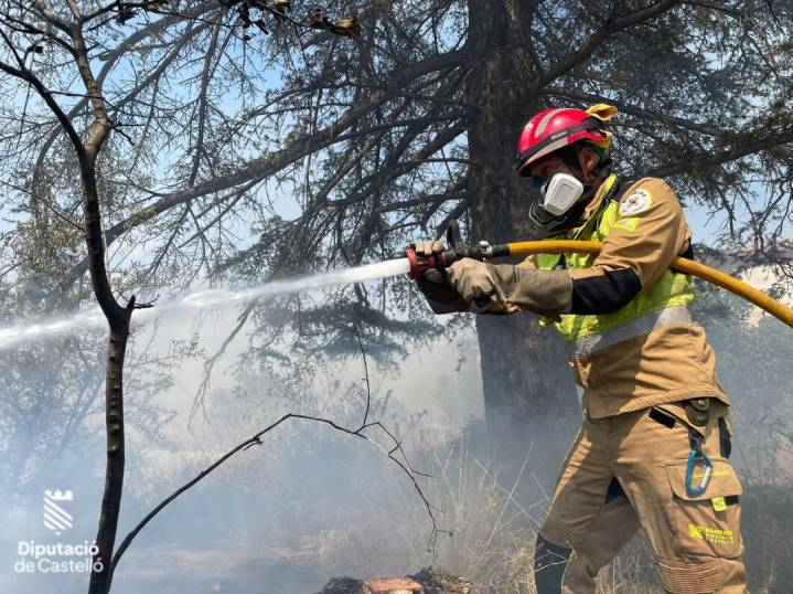 Nuevo incendio en la provincia: las llamas consumen una zona de vegetación en Torrechiva