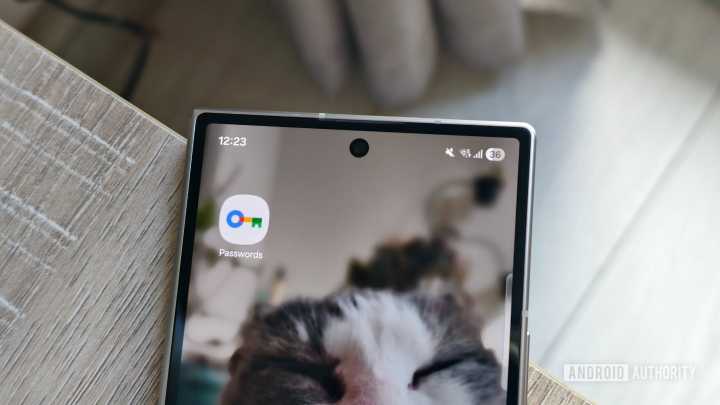 Google’s new Passwords app just made it easier for me to ditch Chrome