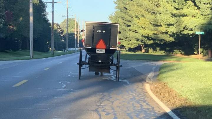 Mennonite Writer Stuck in Goshen After Missing Last Buggy Out of Town