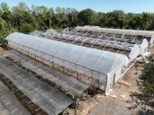 Avanza la remodelación del vivero forestal municipal en Orán