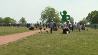 Bald-off competition set to take place in Chicago – NBC Chicago