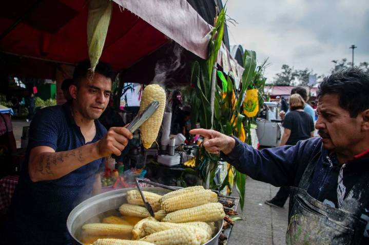 Iztapalapa se llena de sabor y tradición en la Fiesta del Elote 2025 en la Ceda