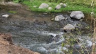 Con biodigestores atenderán descargas de aguas negras en el río Cuautla