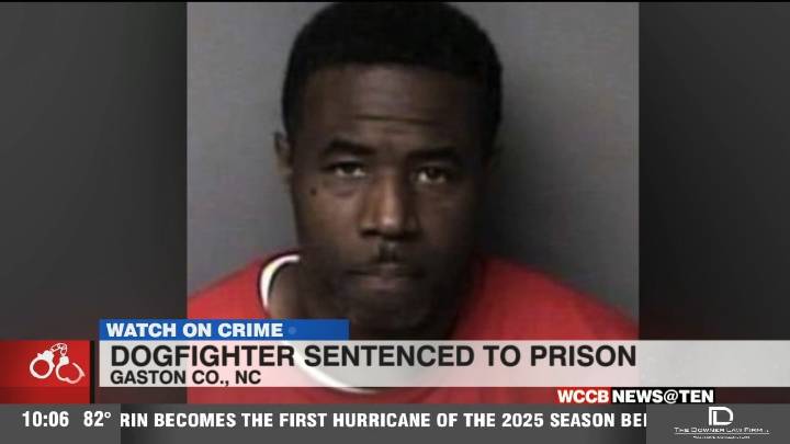 Local man convicted of dogfighting, sent to prison for at least 7.5 years