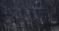 Bomberos luchan para evitar rebrotes del mayor incendio forestal en Francia