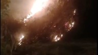 Incendio forestal se registró en el sector de Patio Bonito, en Cali; Bomberos atendieron la emergencia