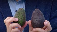 Ante preocupación por componente cancerígeno: ¿Cómo diferenciar la palta peruana de la palta chilena?