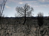 Spain heatwave was 'most intense on record'