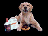 Fetch these deals for National Dog Day across San Antonio