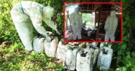 Químicos para drogas sintéticas en zonas rurales de Sinaloa: Ejército destruye más de 2,800 litros de sustancias peligrosas