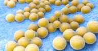 Study: Dalbavancin similar to standard treatment for staph bacteremia