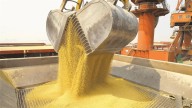 “La soja viene siendo el motor de las exportaciones argentinas”