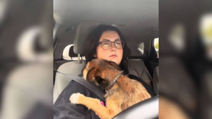 Tennessee Woman Comforts Dog With Heartbreaking Fear Of Car Rides After Being Left On The Roadside
