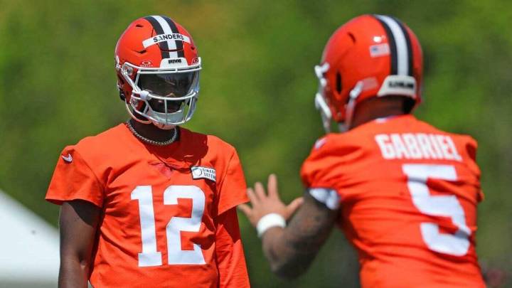 Browns vs. Panthers prediction: Free expert picks for NFL preseason week 1