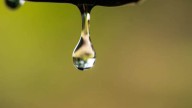 Scotland faces Severe Water Shortage as River Levels Hit Critical Point