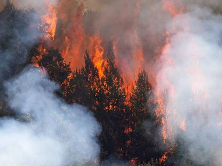 Arrasa el fuego 400 mil hectáreas en España, casi uno por ciento del país