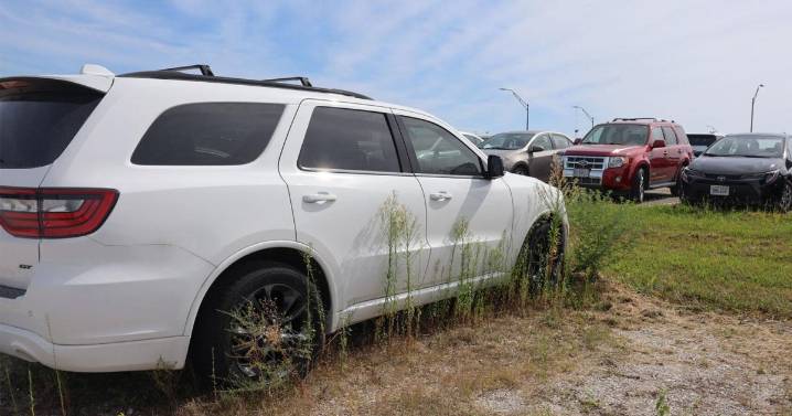 Columbia airport may tow cars left over 45 days