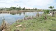 Abandono de la Laguna del Camarón pone en riesgo a especies: Guillermo Zerecero