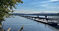 Travels with Charlie: Summer Day at Log Boom Park