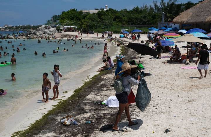 Sargazo en Q Roo no ha impactado en turismo, asegura Sheinbaum