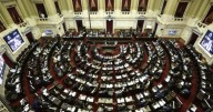 Diputados debate el veto de Milei a la ley de emergencia en Discapacidad
