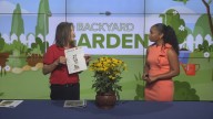 Buzzing with Purpose | How to take part in the Great Southeast Pollinator Census