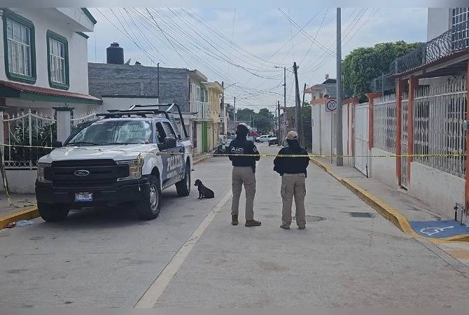Fiscalía de Guanajuato localiza 32 cuerpos en fosa clandestina de Irapuato