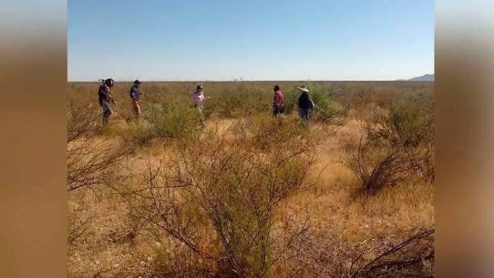 De 10 búsquedas forenses, solo una con hallazgos: el desafío de las madres buscadoras en la zona sur
